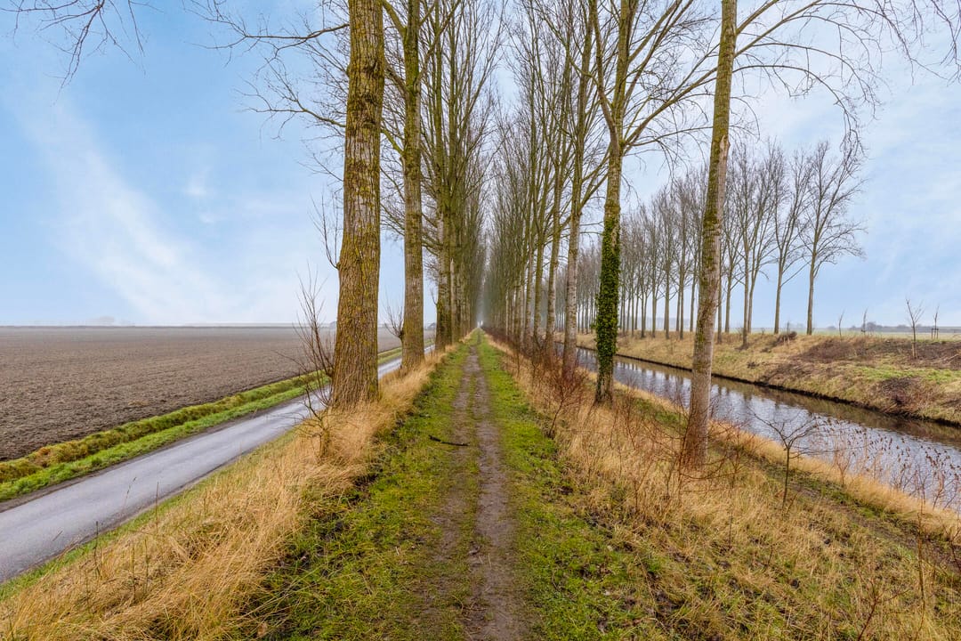 Photo 31 of Laureijnestraat 52
