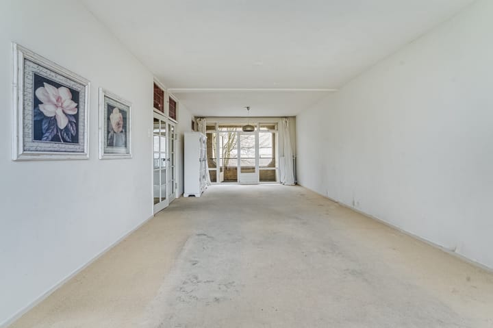 Foto 4 van Meander 703