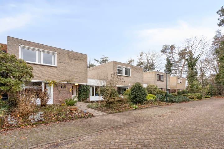 Foto 32 van Texellaan 11