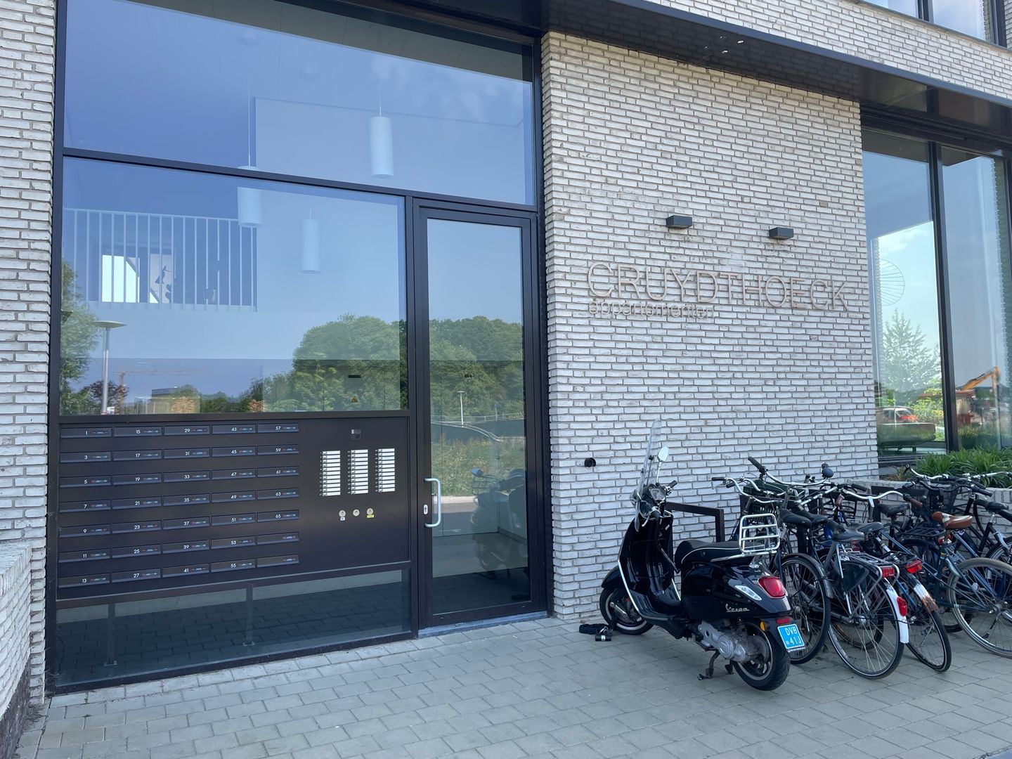 Foto 4 van Wilde rucolavliet 3
