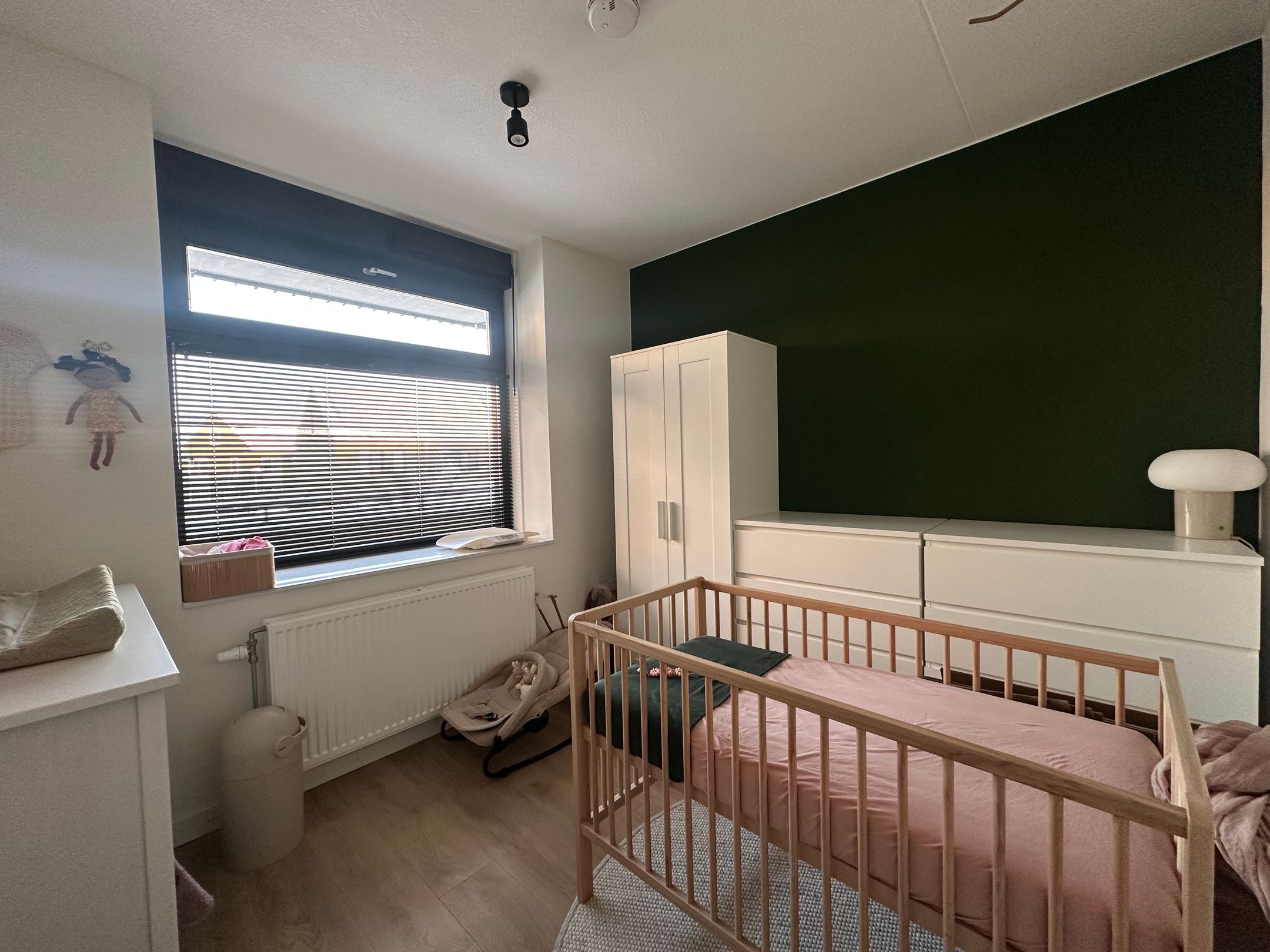 Foto 6 van Wilde rucolavliet 3