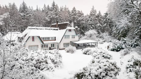 Berkenlaan 4 tertiary image