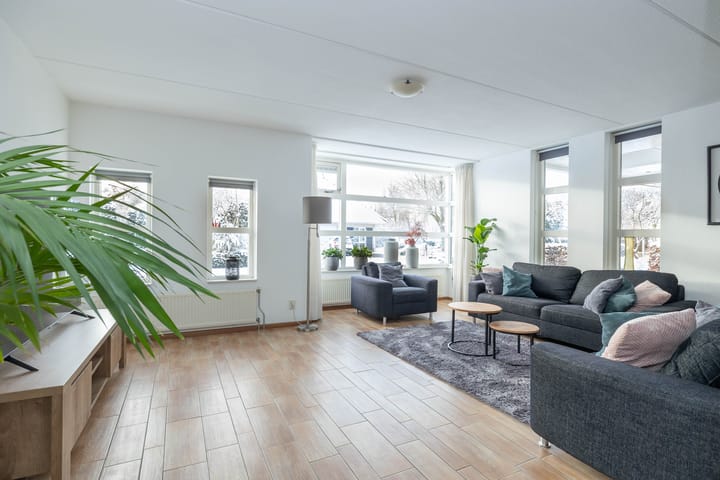 Foto 3 van Karper 66