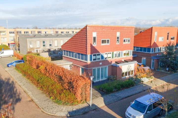 Dorsvlegel 36 main image