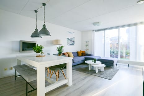 Dorsvlegel 36 tertiary image