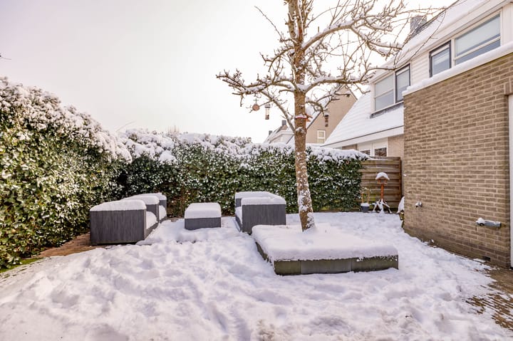 Foto 45 van Karper 66