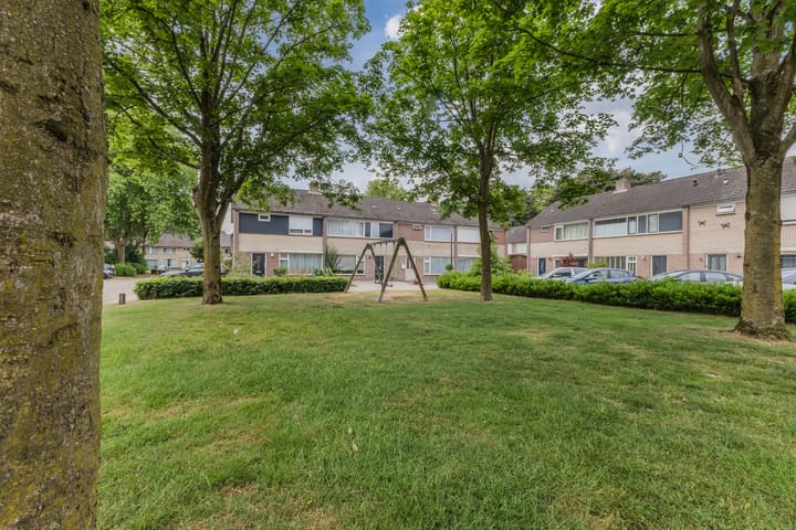 Photo 33 of de Wan 18