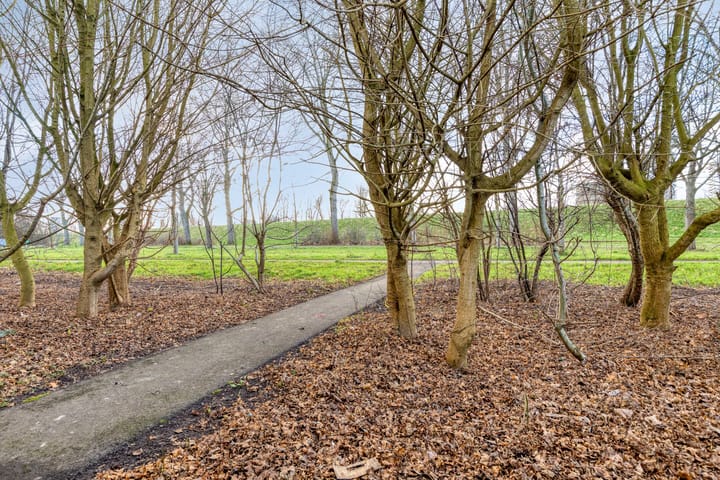 Photo 34 of Spieringstraat 45