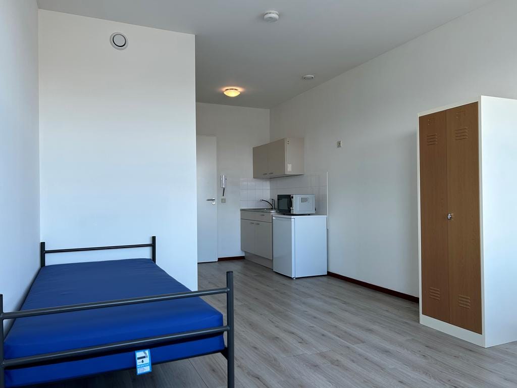 Foto 5 van Binckhorstlaan 131-1