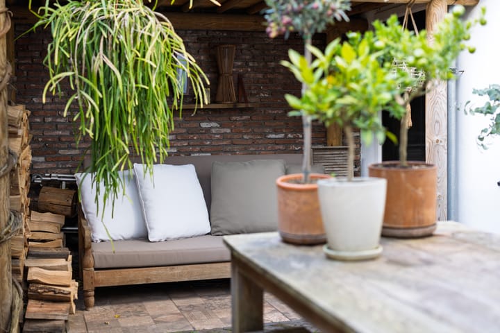 Foto 38 van Bussummerstraat 58