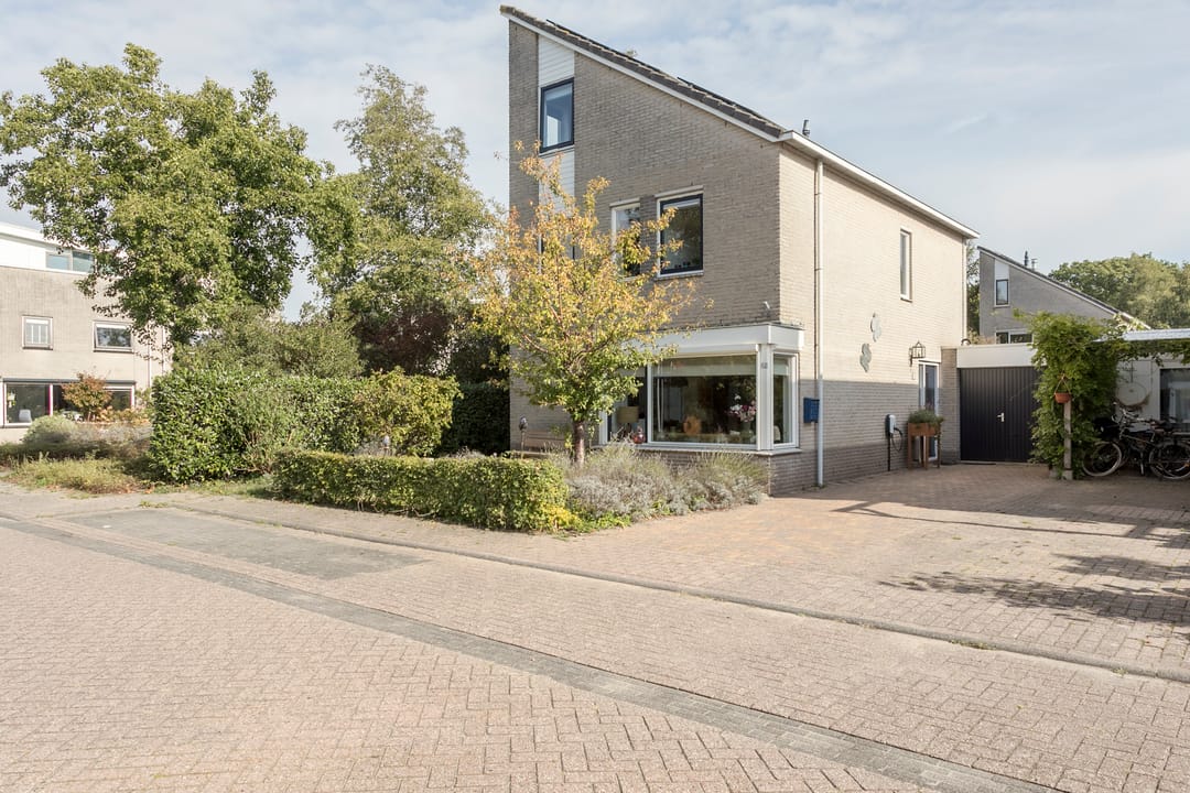 Foto 2 van Braamspinner 62