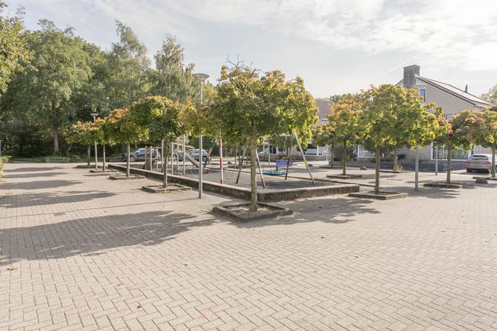 Foto 36 van Braamspinner 62