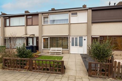 undefined main image