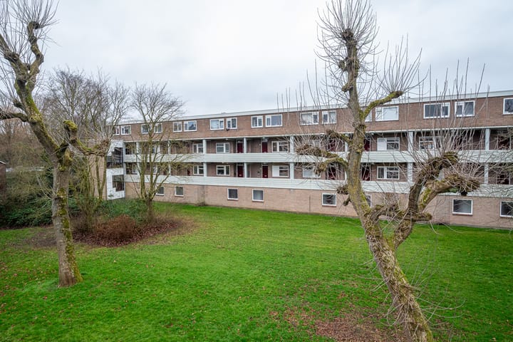 Photo 4 of Illegaliteitslaan 120