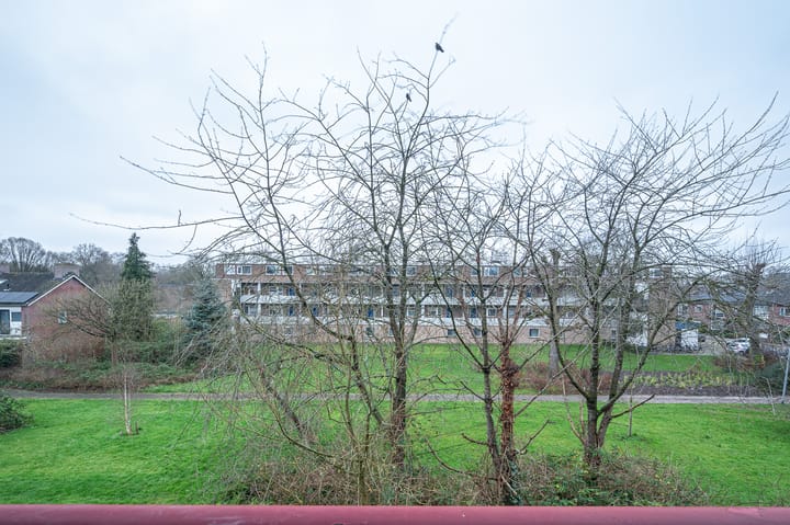 Foto 21 van Illegaliteitslaan 120