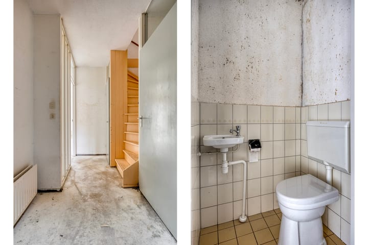 Foto 8 van Bereklauw 6