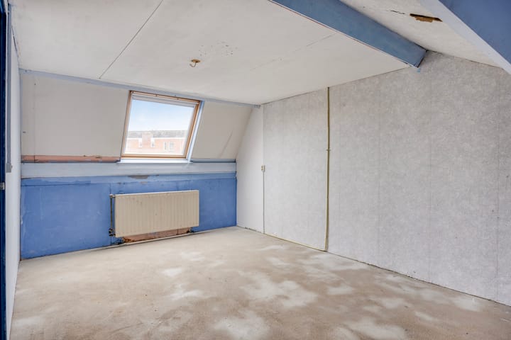 Foto 18 van Bereklauw 6