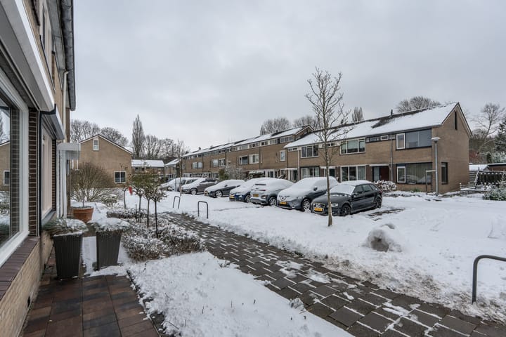 Foto 31 van Omloop 25