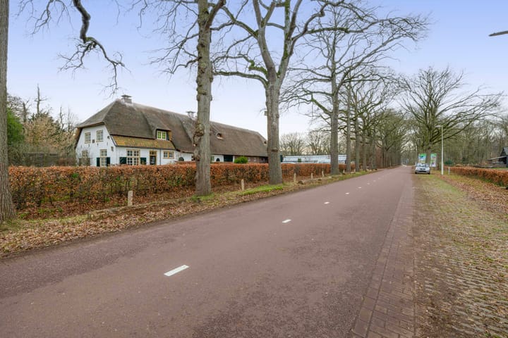 Foto 39 van Ambonplein 68