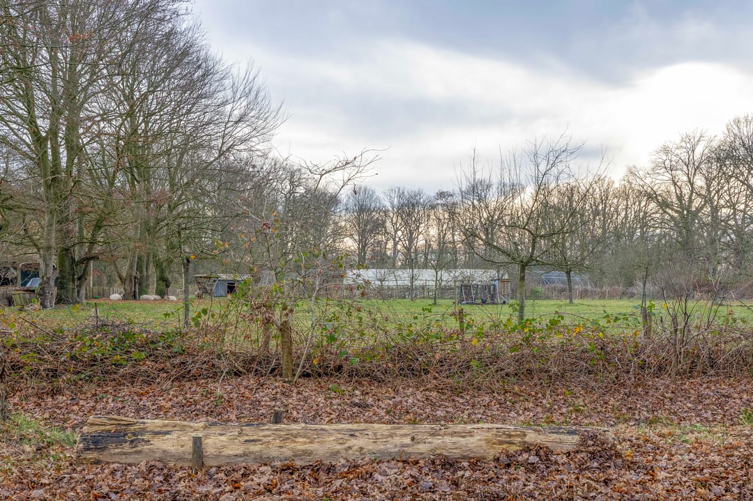 Foto 41 van Ambonplein 68