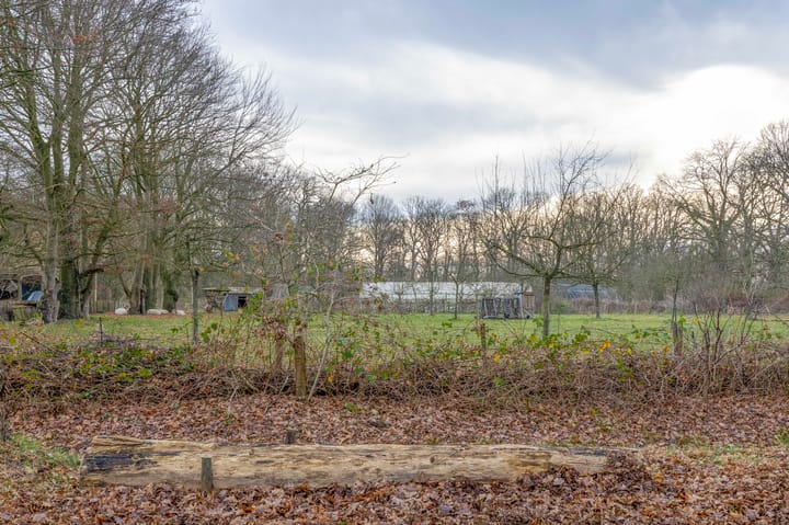 Foto 41 van Ambonplein 68