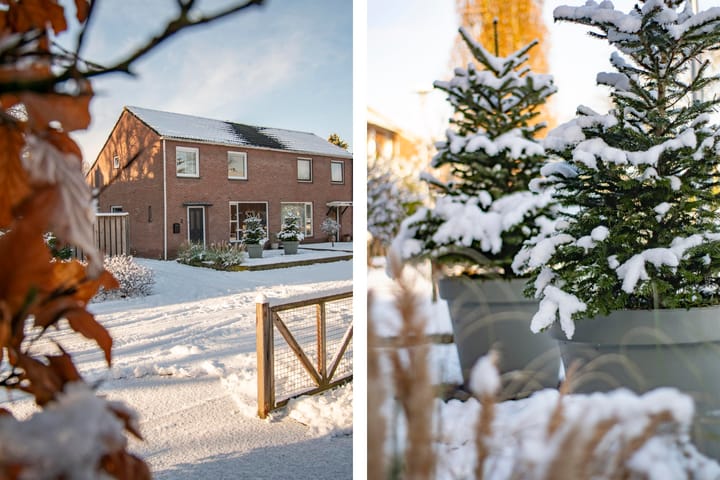 Foto 3 van Goornstraat 2