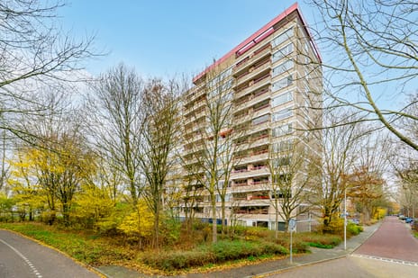 Wimbledonpark thumbnail