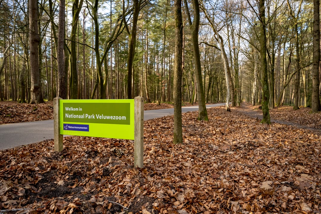 Foto 26 van Badhuislaan 97