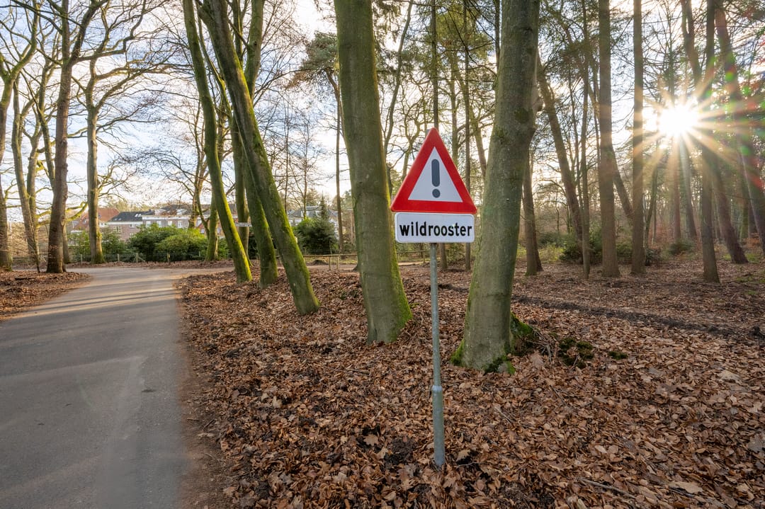 Foto 28 van Badhuislaan 97