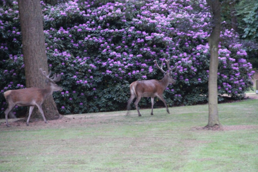 Foto 30 van Badhuislaan 97