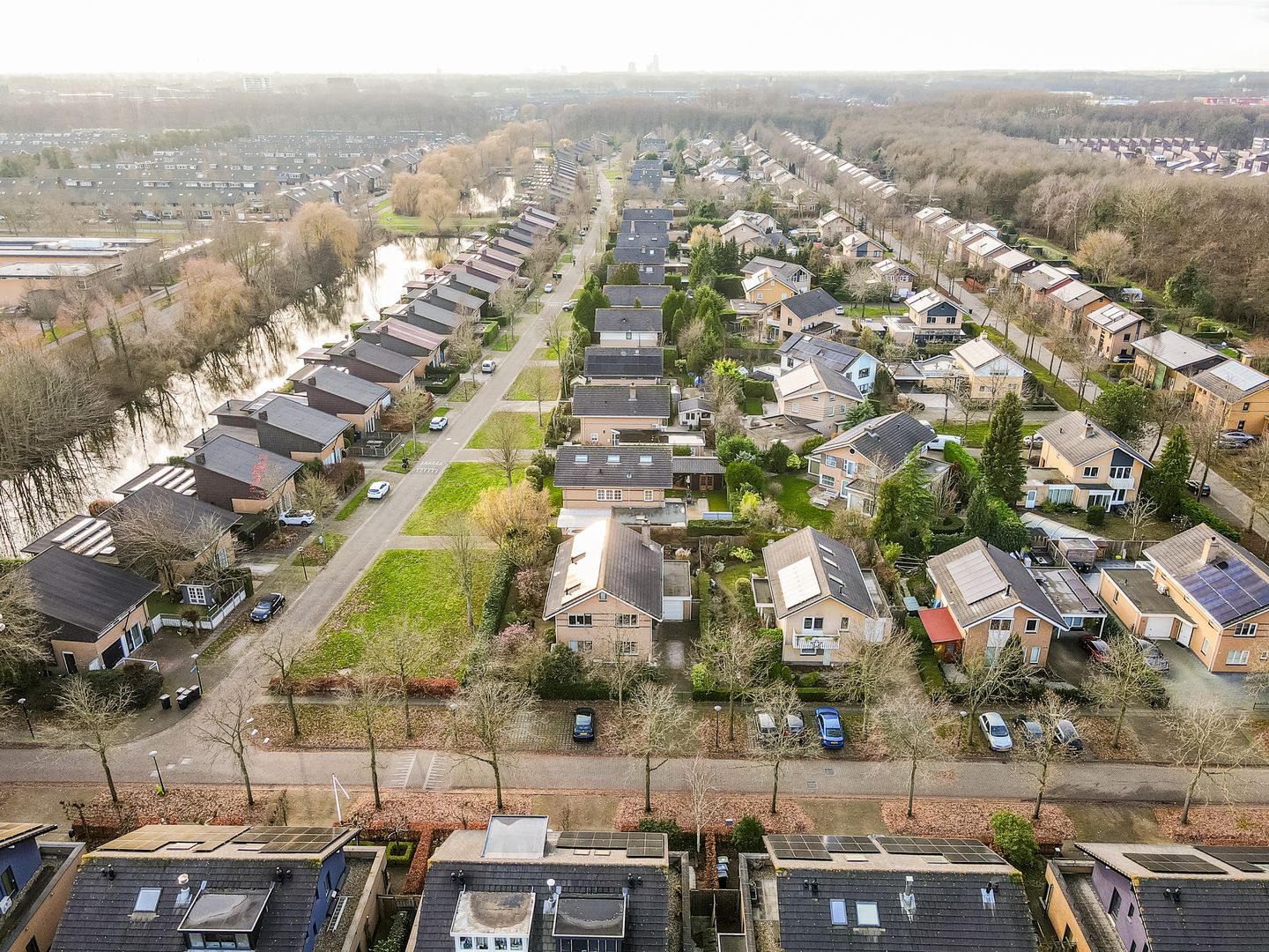 Foto 1 van Februaristraat 115