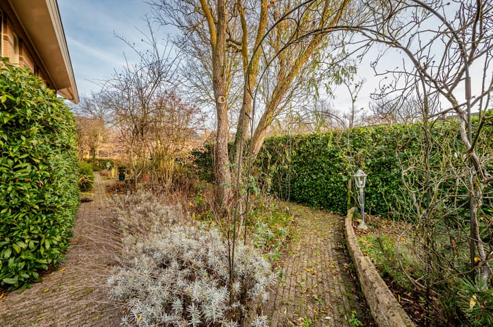 Foto 44 van Februaristraat 115