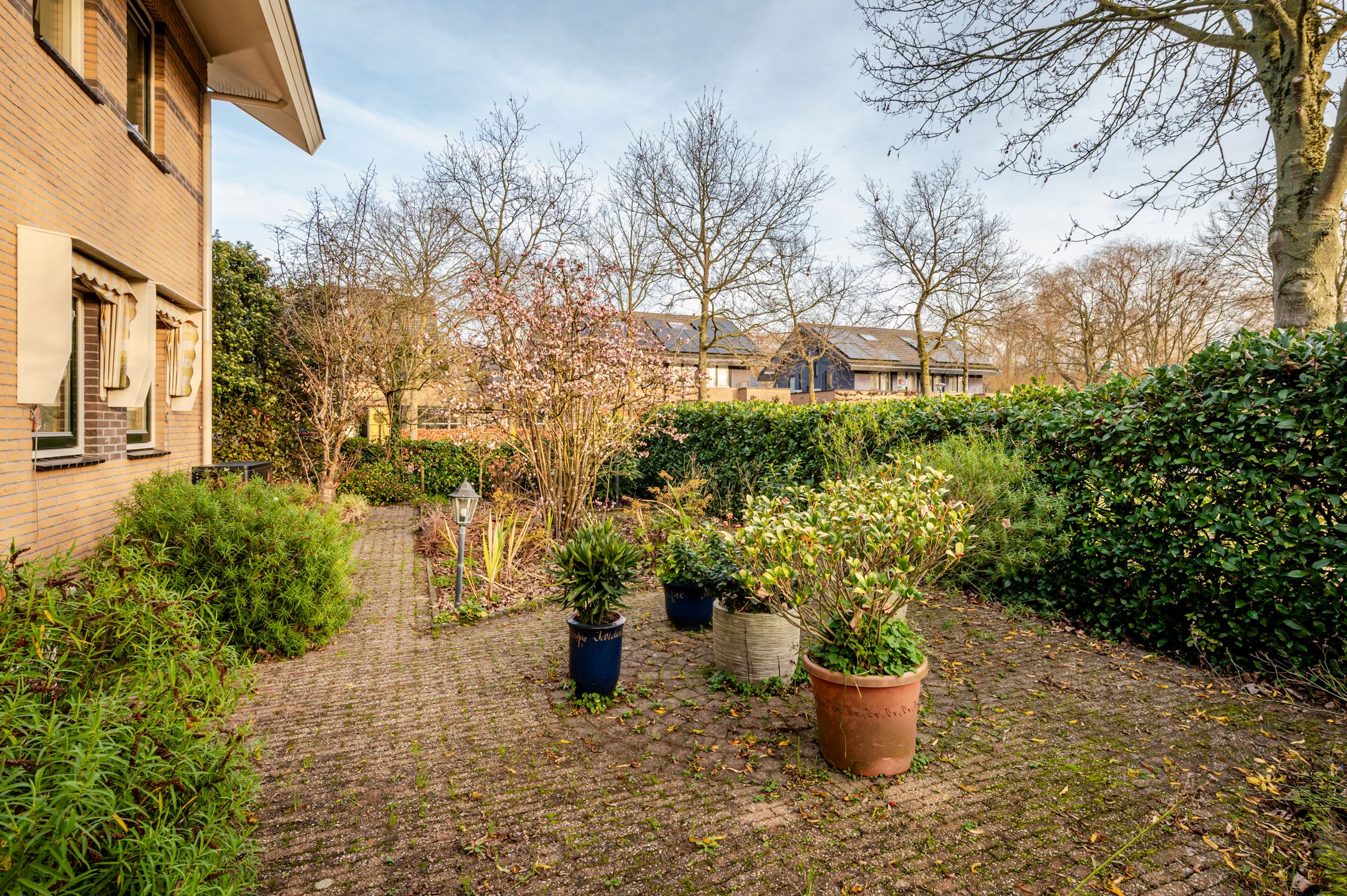 Photo 45 of Februaristraat 115
