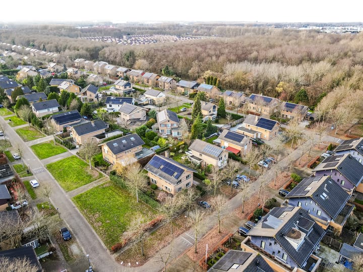 Foto 50 van Februaristraat 115