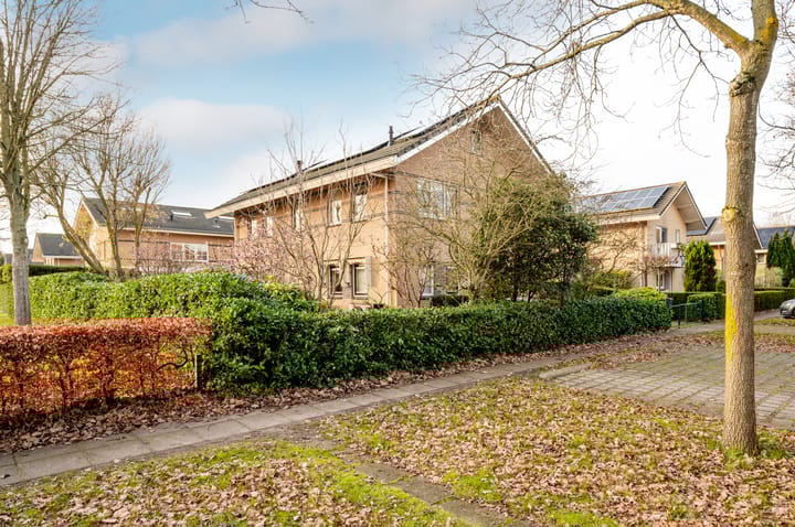 Foto 51 van Februaristraat 115