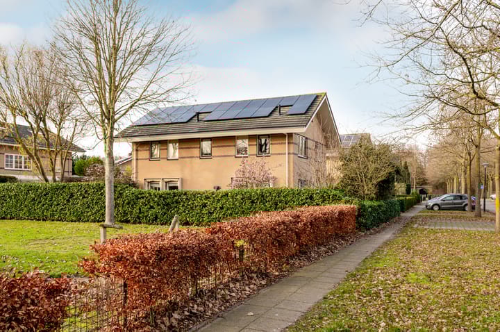 Foto 52 van Februaristraat 115