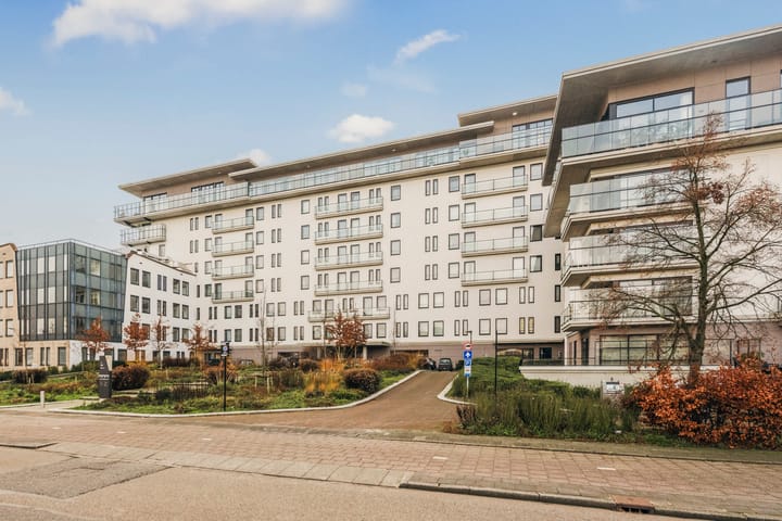 Burgemeester Rijnderslaan 50