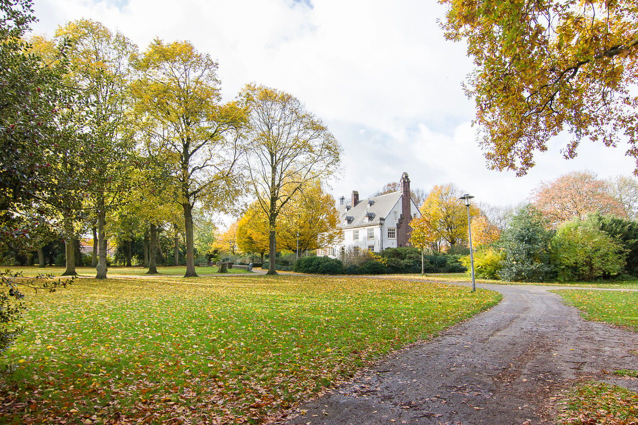 Foto 40 van Beukenstraat 43