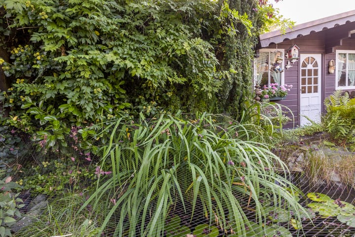 Foto 44 van Burchtstraat 47