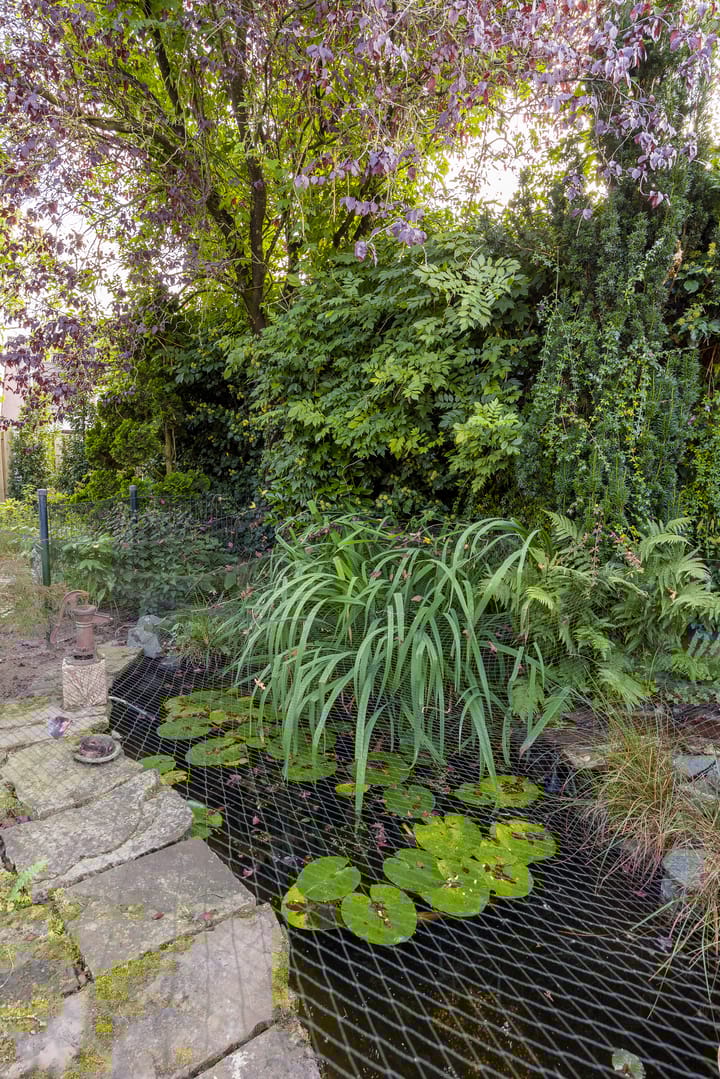 Foto 46 van Burchtstraat 47