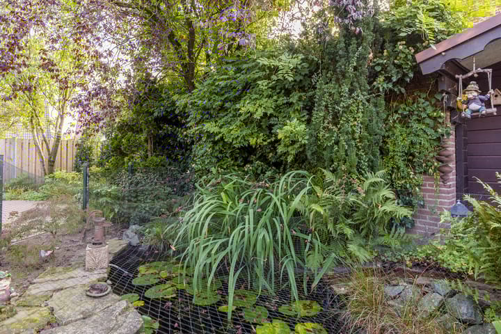 Foto 47 van Burchtstraat 47