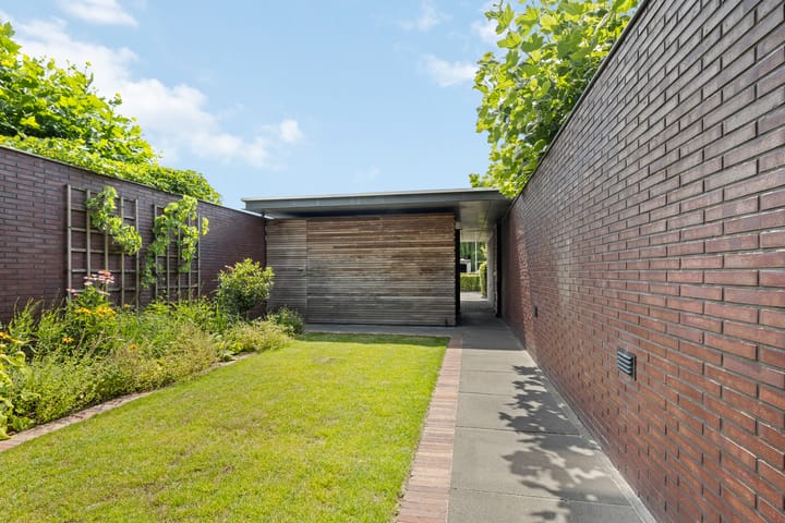 Foto 6 van Dotterbloem 1