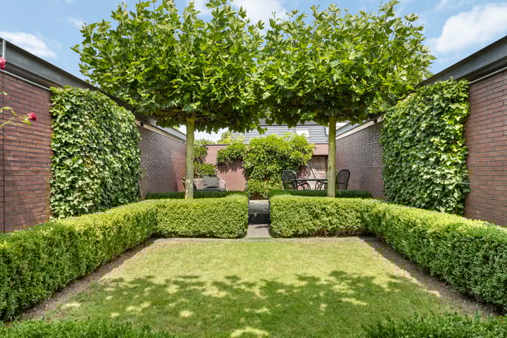 Foto 36 van Dotterbloem 1