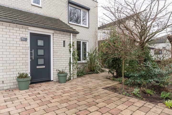 Foto 9 van Wetstrikkel 30