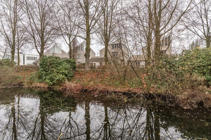 Foto 50 van Wetstrikkel 30