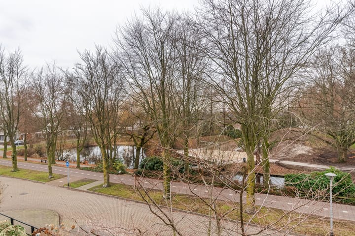 Foto 51 van Wetstrikkel 30