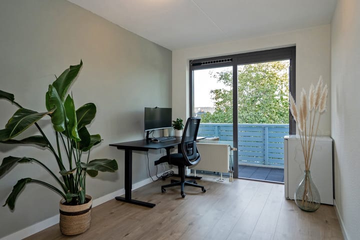 Foto 24 van Cypergras 117