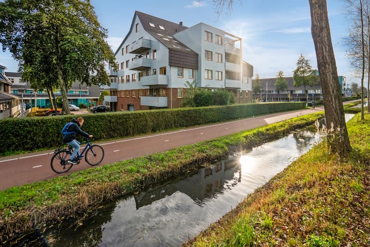 Foto 34 van Cypergras 117