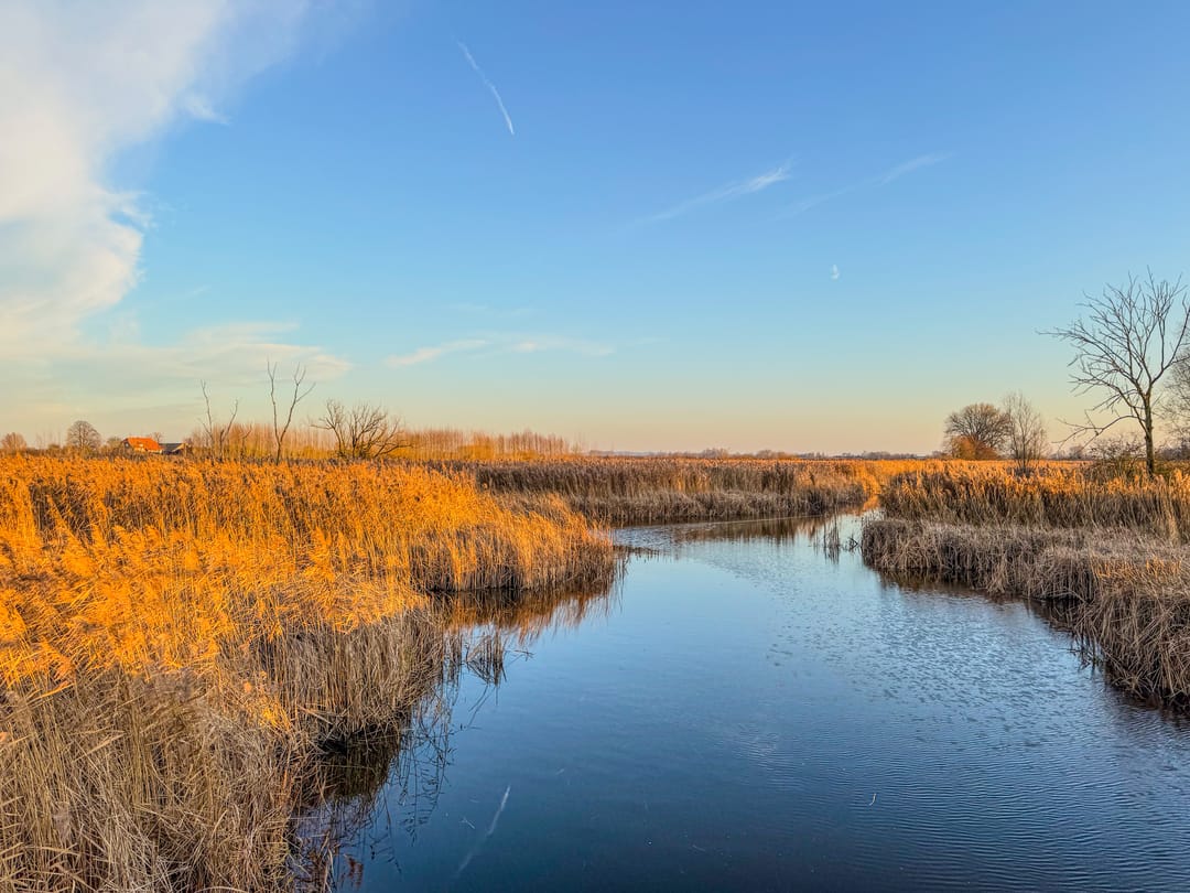 Foto 2 van Burgemeester Cremersplein 11