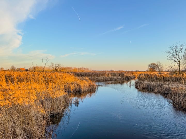 Photo 2 of Burgemeester Cremersplein 11
